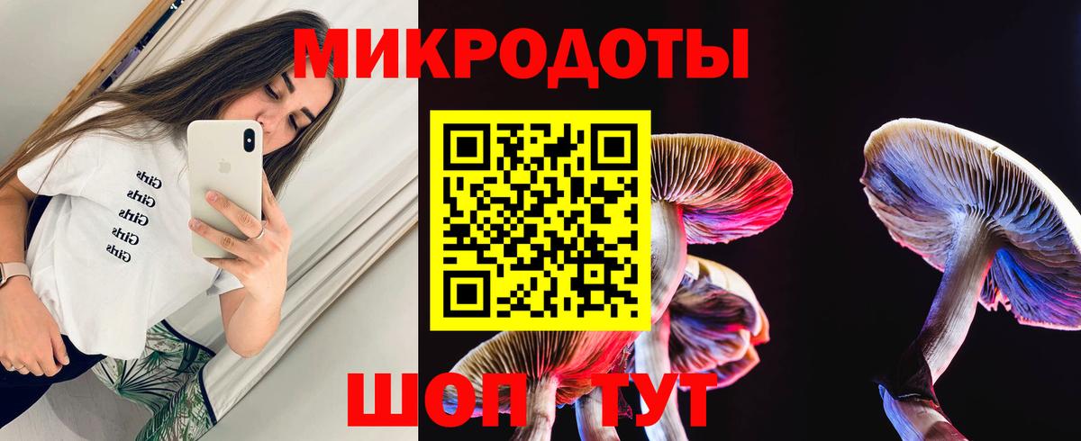 Артём  Псилоцибиновые грибы прущие грибы  Вход с VPN  Галлюциногенные грибы прущие грибы 